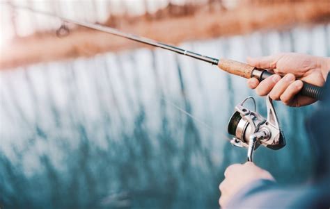 6 conseils pour la pêche aux carnassiers