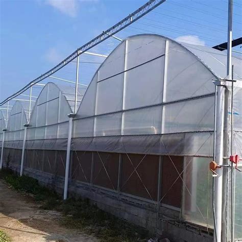 Good Service Vegetables Steel Structure Agricultural Hydroponic Growing