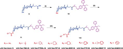 Scheme 1 Reagents Reaction Conditions And Yields I Tamnhme Dcc Download Scientific