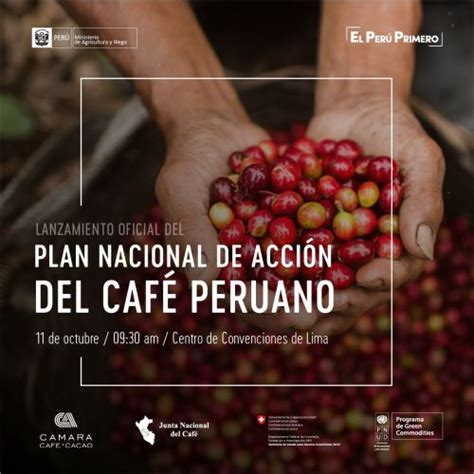 Plan Nacional Del Caf Apuesta Por Garantizar La Sostenibilidad De Su