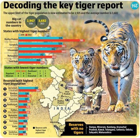 India Tiger Census 2023 India Now Home To 75 Of Tigers