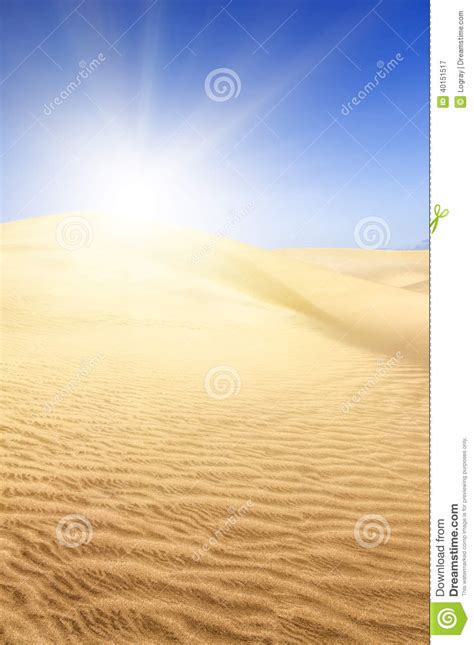 Dunas De Areia Na Praia Em Maspalomas Imagem De Stock Imagem De