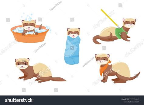 Cartoon Ferret Veterinary Care Animal Polecat Stock Vector (Royalty ...