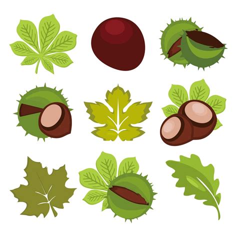 buckeye tree clip art 20 free Cliparts | Download images on Clipground 2024