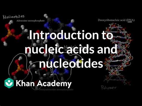 Introduction To Nucleic Acids And Nucleotides Video Lecture Chemistry