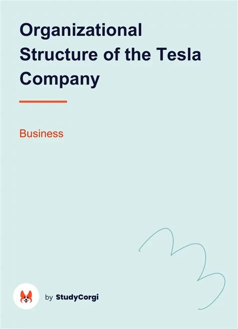 Organizational Structure Of The Tesla Company Free Essay Example