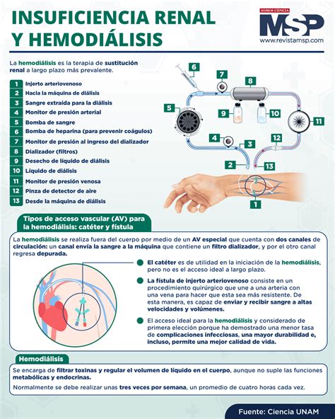 Insuficiencia Renal Y Hemodi Lisis