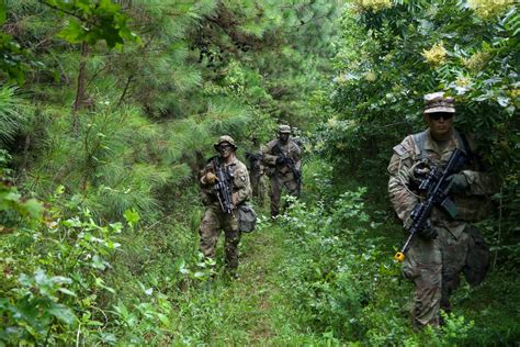 Dvids Images 21st Beb Conducts Squad Training Image 2 Of 3