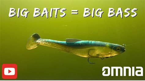 Chasing Giants Conquer Bass Fishing With Big Swimbaits Bass Manager