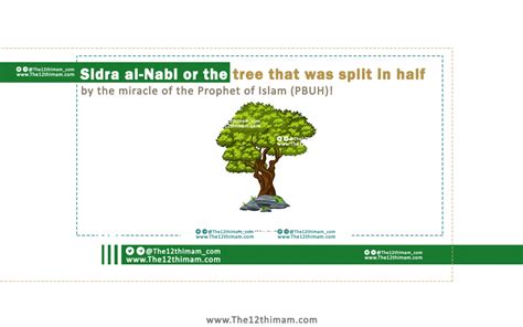 Sidra Al Nabi Or The Tree That Was Split In Half By The Miracle Of The