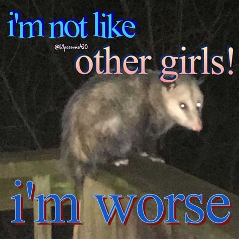 Pin on POSSUM MEMES