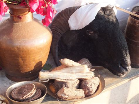 Sikkims Indigenous Festivals Siniolchu Travels Sikkim