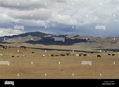 landscapes in mongolia Stock Photo - Alamy