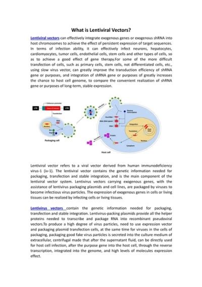 Lentiviral Vectors