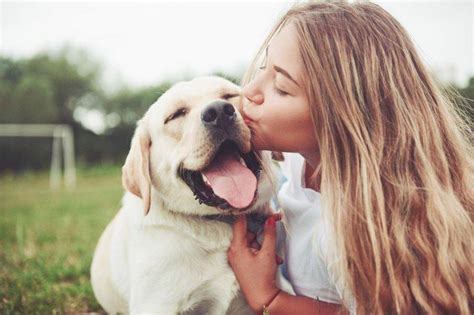 Razones Para Tener Un Perro En La Familia