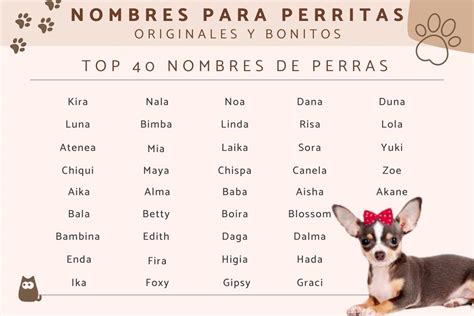 50 NOMBRES PARA PERROS HEMBRA