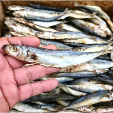 Jual Ikan Asin Layang Ikan Klotok 250gr 500gr Shopee Indonesia