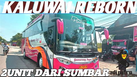 Gumarang Jaya 2 Unit Dari Sumbar Apakah Fulseat Armada Baru Pasang