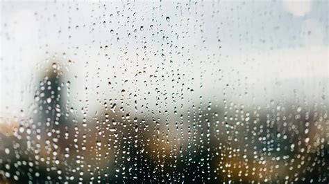Rainwater Harvesting And Other Alternative Water Sources Vancouver