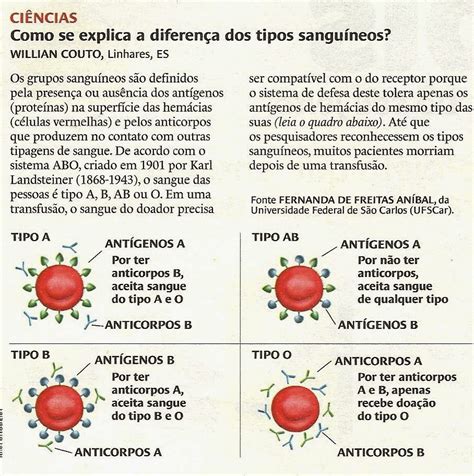 Quais São Os Tipos Sanguineos Rectory