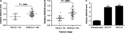 Snhg16 Is Up‐regulated In Dlbcl A The Relative Levels Of Snhg16 In Download Scientific