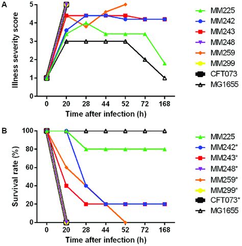 Ability Of Fecal Escherichia Coli Isolates To Cause Lethal Sepsis In