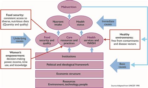 R Sum La Malnutrition Causes Cons Quences Et Solutions Unicef