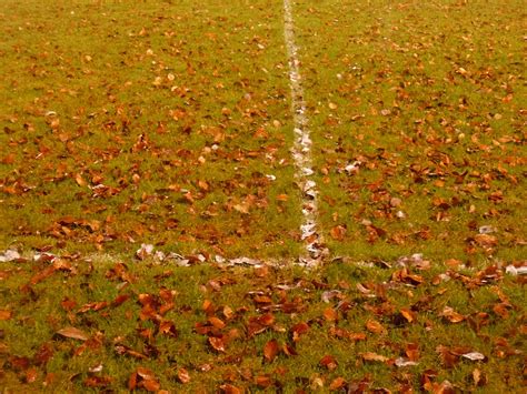 The Cold End Controversy At Rothamsted Park