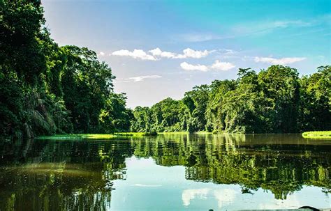 Tortuguero National Park Tour The Natural Wonder Of Costa Rica