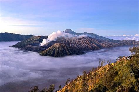 Tripadvisor Private Tour Tumpaksewu Bromo Ijen T N Von Surabaya