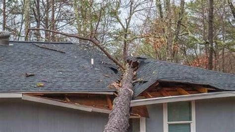 5 Essential Steps For Assessing Storm Damage To Your Property