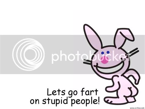 Funny Bunny Wallpaper | Funny Bunny Desktop Background