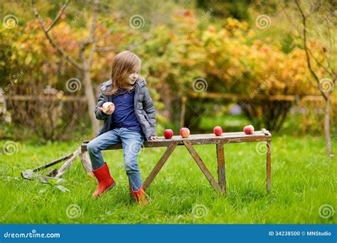 Petite Fille S Asseyant Sur Un Banc En Bois L Automne Photo Stock