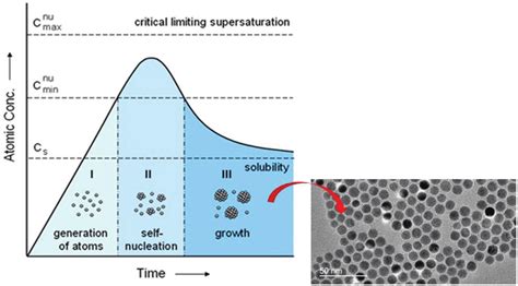 Variation Of Monomer Concentration During Nucleation Growth Processes Download Scientific