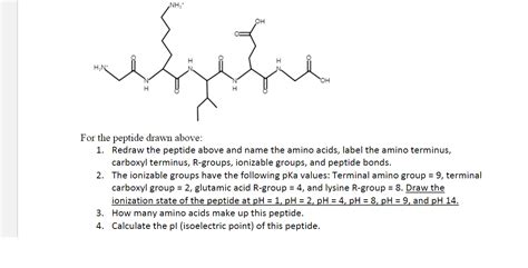Solved For the peptide drawn above: 1. Redraw the peptide | Chegg.com