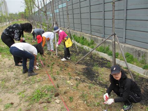 장안구 율천동 밤나무동산에 꽃나무 식재