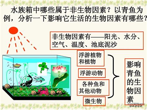 第二节 生物与环境组成生态系统word文档在线阅读与下载无忧文档