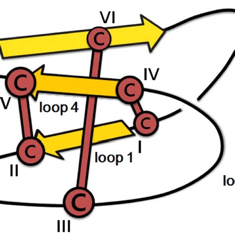 Schematic Illustration Of Cyclotide Structure A 3d Illustration Of The
