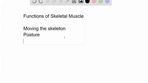 SOLVED:What is the function of the intrinsic muscles of the hand?