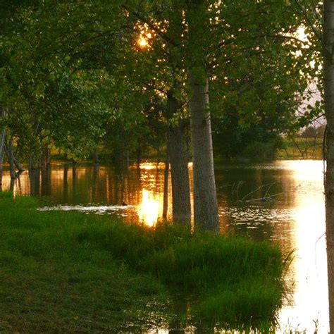 Язовир ''Ряховски ливади'' / Lake ''Ryahovski meadows''