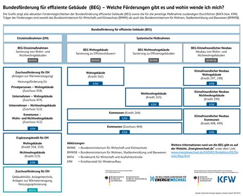 Bafa F Rderprogramm Im Berblick