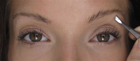 Get Fuller Brows - The Skiny