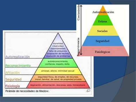 Clasificacion De Valores De Max Scheler Etica Y Valores Images