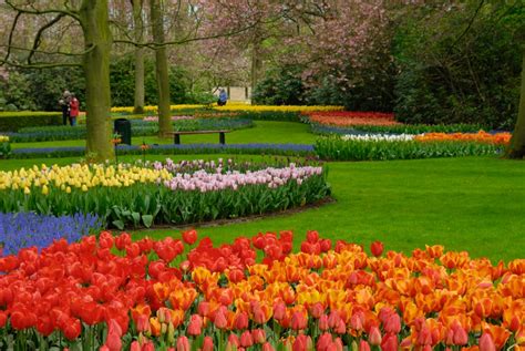 Seasonal Color Displays - Native Roots