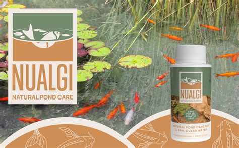 Amazon Nualgi Pond Care Natural Fish Pond Cleaner Ml Pond