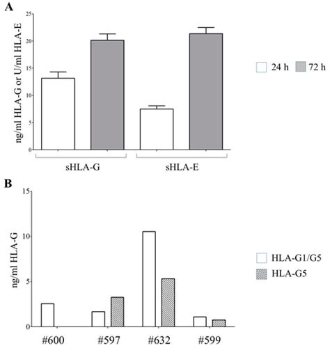 Human Amnion Epithelial Cells Impair T Cell Proliferation The Role Of