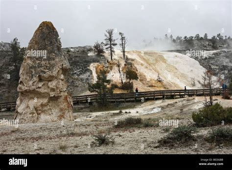Liberty Cap And Travertine Terraces Mammoth Hot Springs Yellowstone National Park Stock Photo