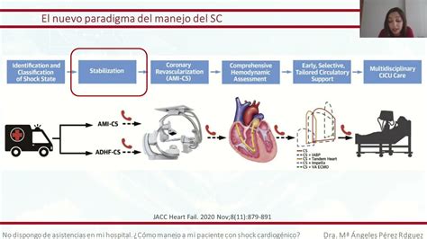 Actualización En El Manejo Del Shock Cardiogénico Youtube
