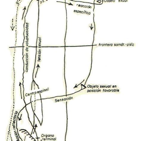 Esquema De La Pulsión Freud 18951986c P242 Download Scientific Diagram