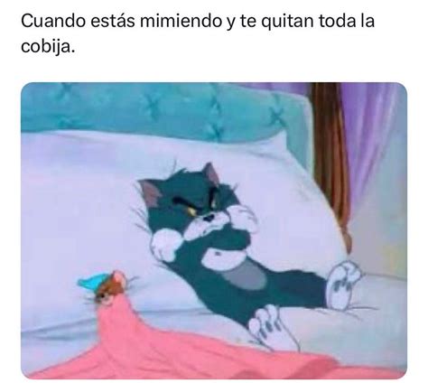 Mi Parte Favorita Del D A Es Cuando Ya Estoy En La Cama As Memes